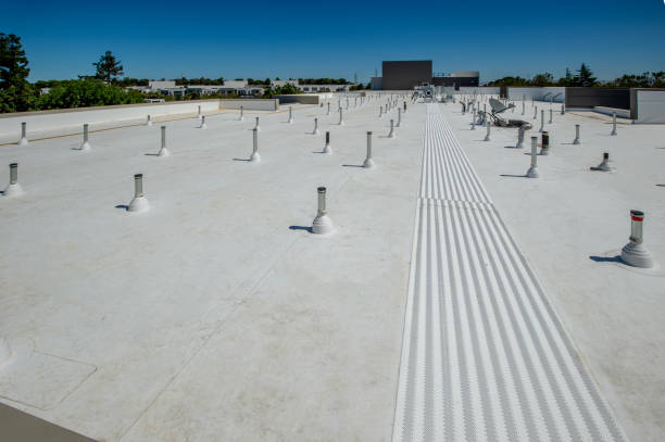 Best Skylight Installation and Repair  in Hewitt, TX